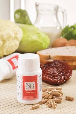 Bebidas Enriquecidas com Ganoderma Lucidum ( o rei da medecina natural )