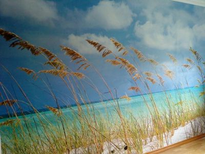 Nuno aplicador de papel de parede e murais