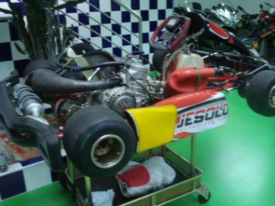 Kart TM 125 cc