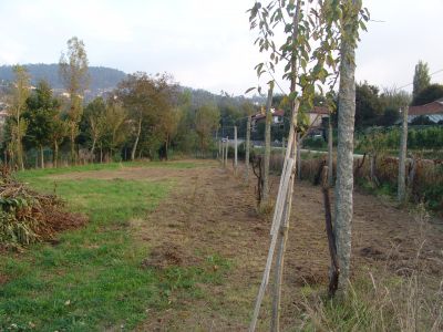 Terreno para construção  