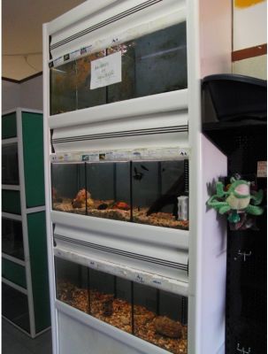 Bateria de aquários JBL