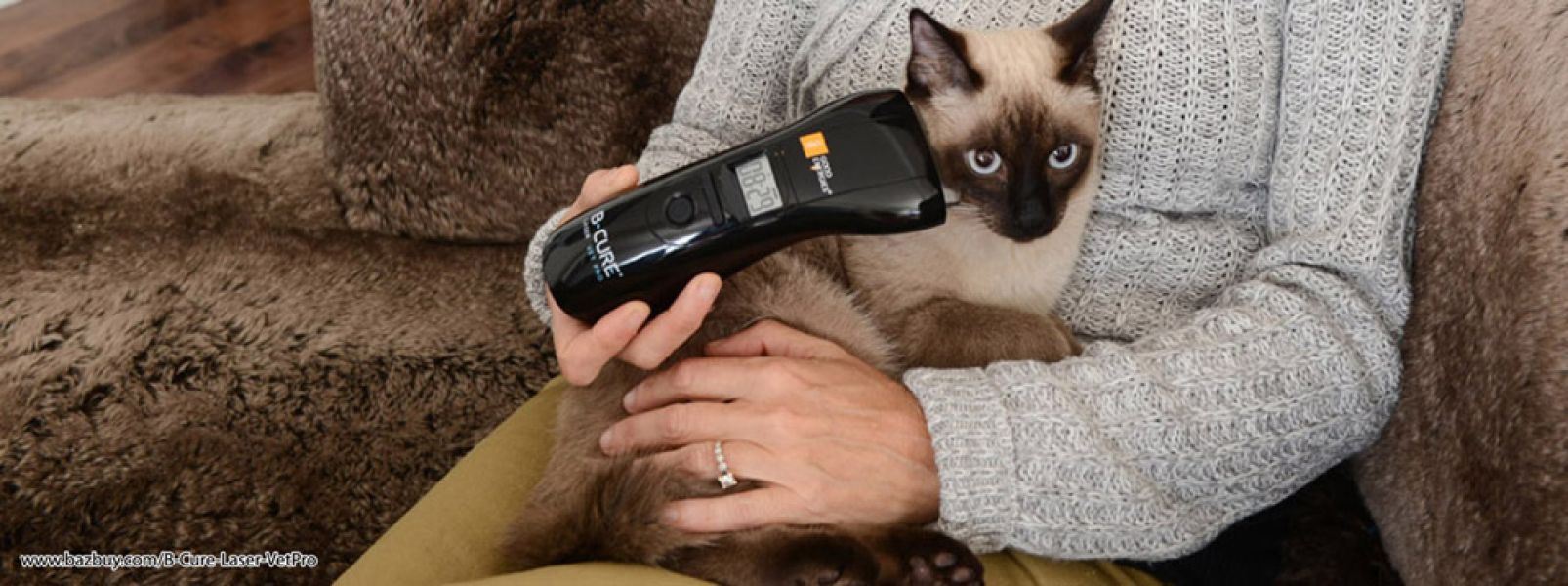 B-cure Laser - Veterinary medicine