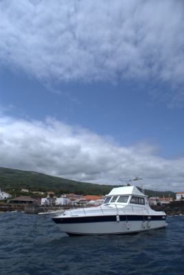 Alojamento de férias para alugar nos Açores-Ilha do Pico