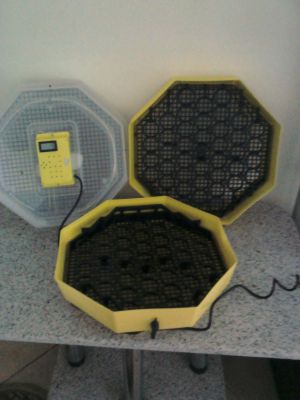 chocadeira com andar