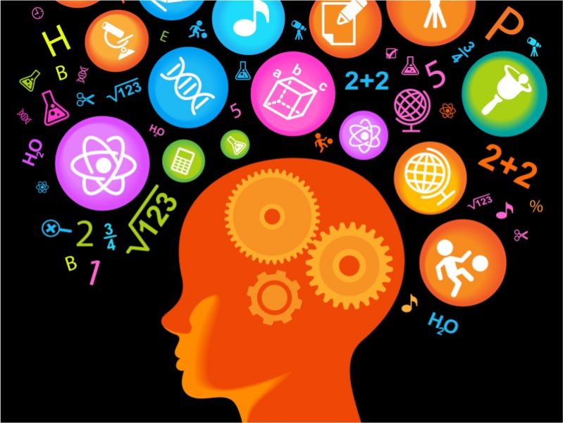 Curso Psicologia Desenvolvimento