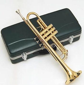 Nova Trompete completa com todos os acessórios