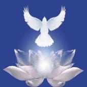 Terapeuta de Reiki e Medicinas complementares. Formadora.