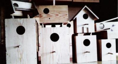 NINHOS E TRANSPORTADORAS