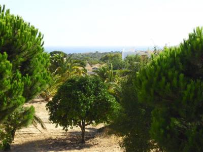 T2 - Piscina - campo de Tenis - Zona tranquila