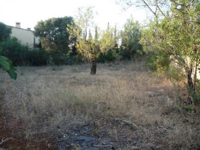 Terreno c/ projecto aprovado - Quinta da Arrencada - Alcantarilha