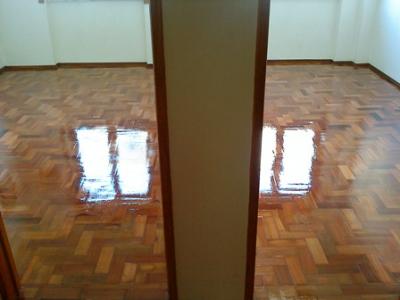 Nuno afaga e envernizo  