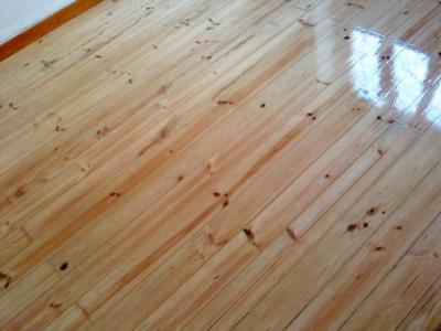 Nuno afaga e envernizo  