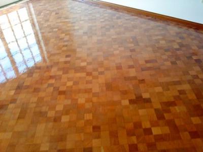 Nuno afaga e envernizo  