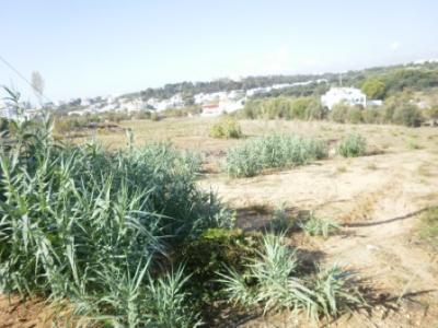 TERRENO EM PORTIMÃO C/ PROJECTO / REF: 1227