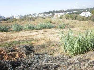 TERRENO EM PORTIMÃO C/ PROJECTO / REF: 1227