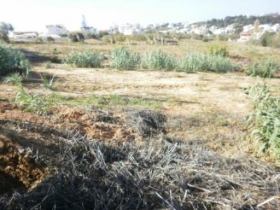 TERRENO EM PORTIMÃO C/ PROJECTO / REF: 1227