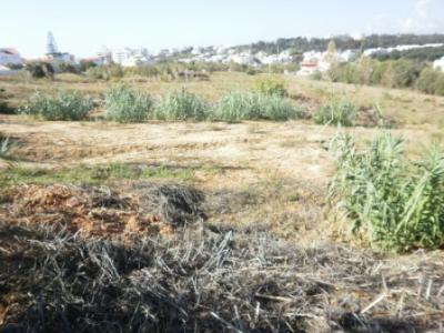 TERRENO EM PORTIMÃO C/ PROJECTO / REF: 1227