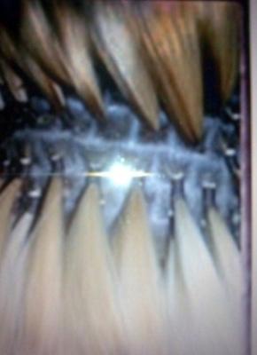 Extensões de cabelo natural