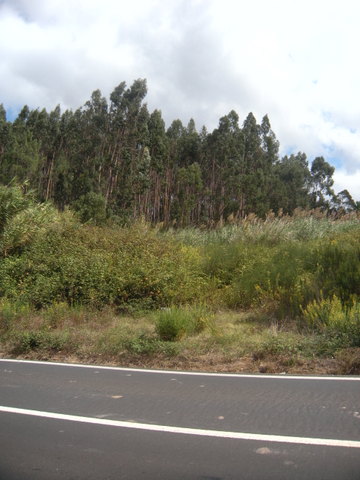 Terreno com 3.100m² e viabilidade de construção para uma moradia.  Inserido na malha urbana, em espa