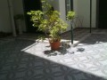 T1 - Apartamento em Funchal 