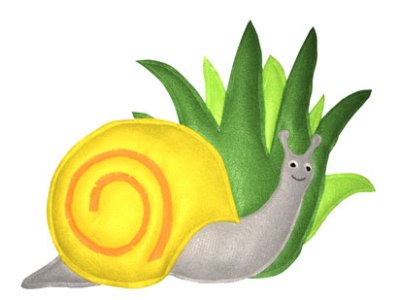 Caracol Nacional
