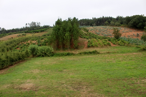 Costa de Prata moradia térrea, cozinha com salamandra; Sala de refeições e sala de estar em comum; 1