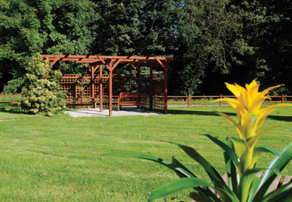 Auxiliares de Geriatria - Gales (m/f)