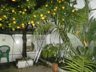 Moradia no Bairro Alto da Ajuda - Lisboa