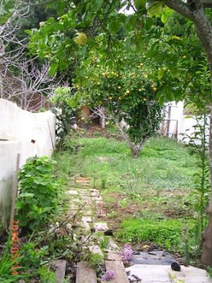 CASA TÉRREA C/ TERRENO /  REF: 1241