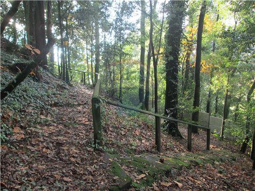 Moradia T4 Restaurada com Jardim e Bosque.