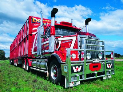 Fazemos Mudança em todo o pais e tambem para Espanha e França