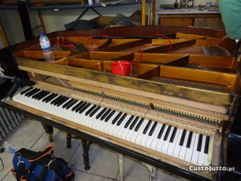 Pianos  Afinador técnico especialista