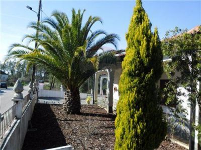 Vivenda t3 impecavel Pronta habitar