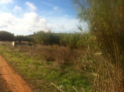Vende-se Terreno em Vila do Bispo