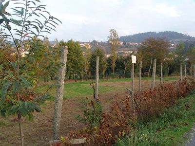 Terreno para construção  