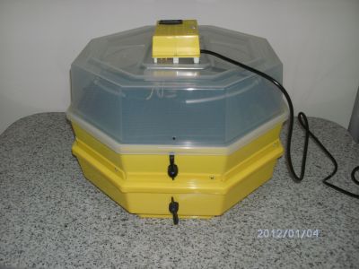 chocadeira com andar