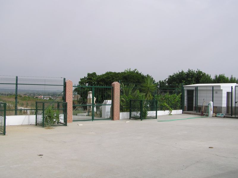 Moradia terrea com sala de leitura em vidro no meio do campo