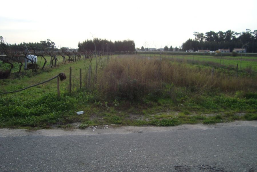 Terreno de construção