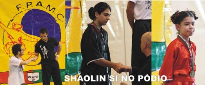 ARTES MARCIAIS CHINESAS - Kung Fu, Wushu, Tai Chi e Qigong