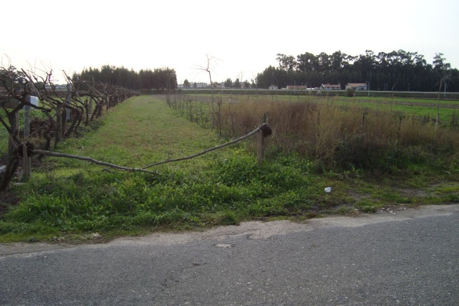 Terreno de construção