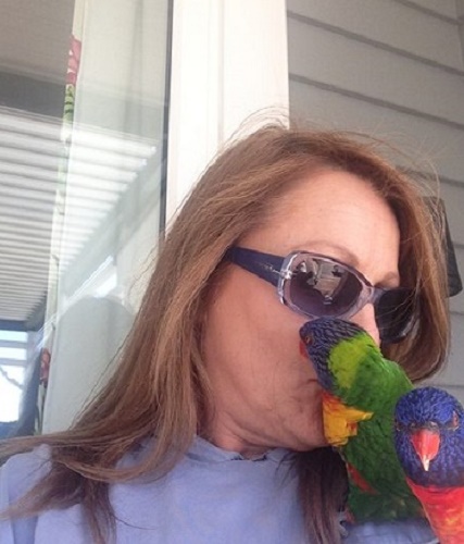 Dois Lóris arco-íris - Percy e Jim precisam de um novo lar 