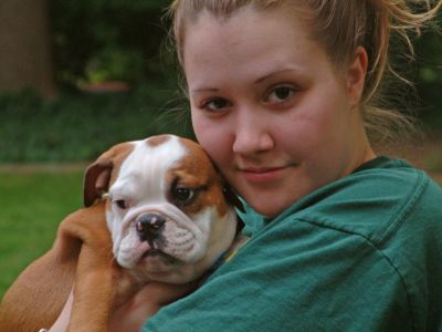 Encantador Inglês Bulldog cachorro para uma família linda