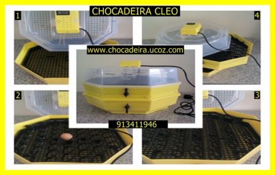 chocadeira semi automatica com mecanismo para virar ovos de codorniz