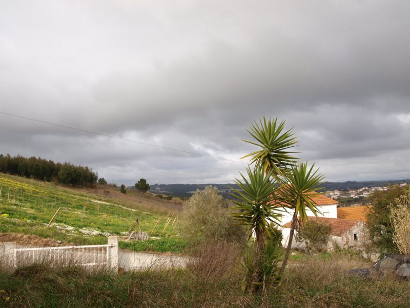 Moradia T3 com 186m² de área, inserida em lote de 978m². sala com lareira, cozinha com despensa, 2 q