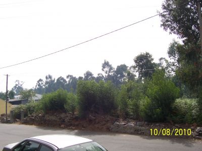 SERZEDO VNG (Zona Industrial Lugar Fontes)