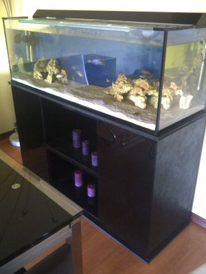 Aquario + movel + 2 filtros externos