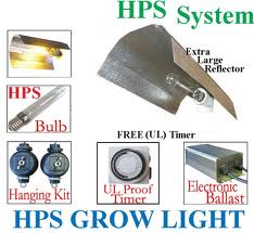 Grow, shop, Mortalhas, Filtros, Tabaco, Cultivo, Jardins, Agricultura, Tabacarias, Papelarias, 