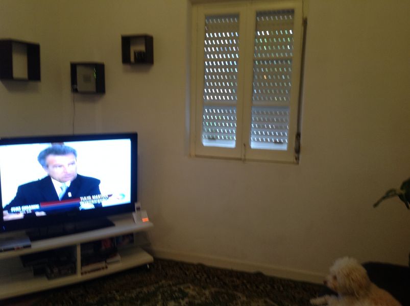 Vivenda com quintal penedo são domingos de rana