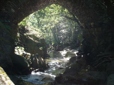 Terreno Junto Rio Âncora - Facilidades de Pagamento - Preço € 48.000,00