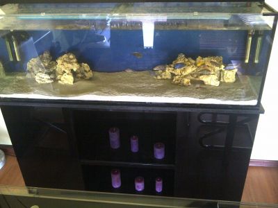 Aquario + movel + 2 filtros externos